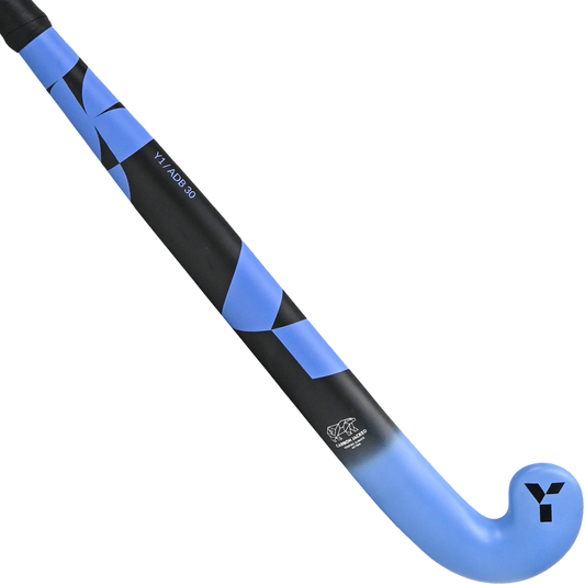 ADB 30 (2025)